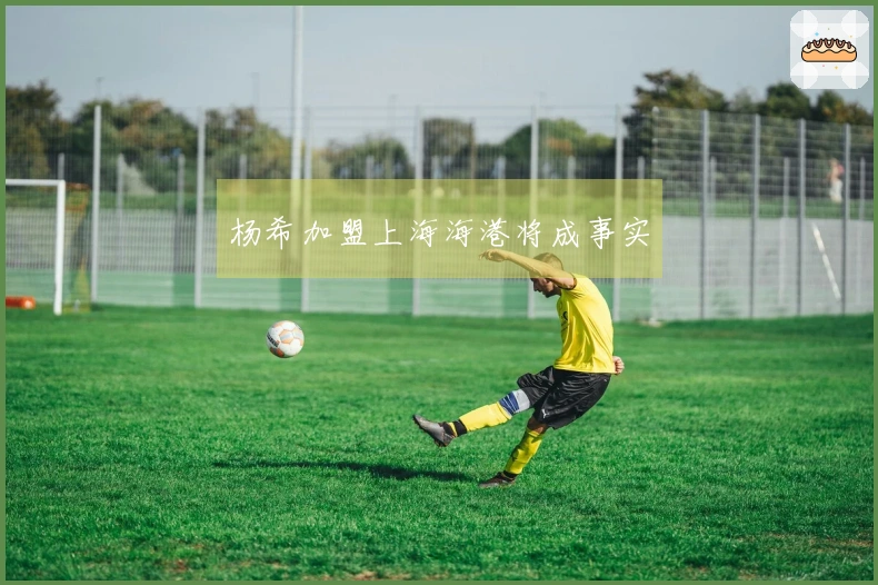 杨希加盟上海海港将成事实